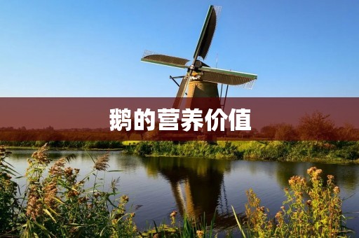 鹅的营养价值