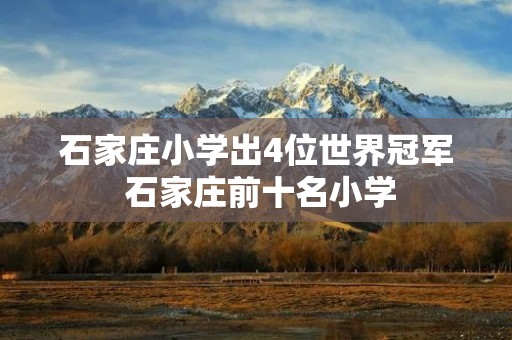 石家庄小学出4位世界冠军 石家庄前十名小学