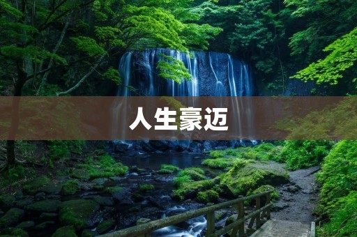 人生豪迈:追寻梦想的勇气与决心