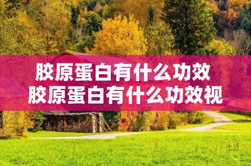 胶原蛋白有什么功效 胶原蛋白有什么功效视频 胶原蛋白有什么功效 胶原蛋白有什么功效视频