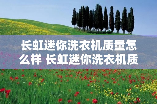 长虹迷你洗衣机质量怎么样 长虹迷你洗衣机质量怎么样啊