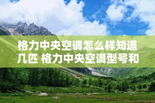 格力中央空调怎么样知道几匹 格力中央空调型号和匹数怎么看 格力中央空调怎么样知道几匹 格力中央空调型号和匹数怎么看