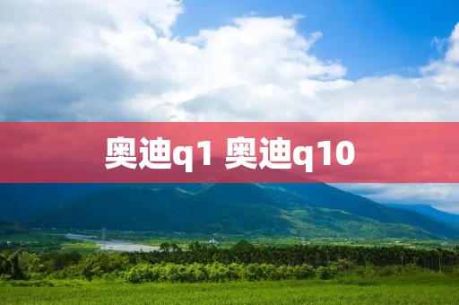 奥迪q1 奥迪q10