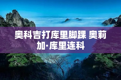 奥科吉打库里脚踝 奥莉加·库里连科