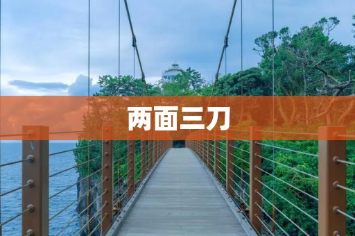 两面三刀:权谋之道的艺术