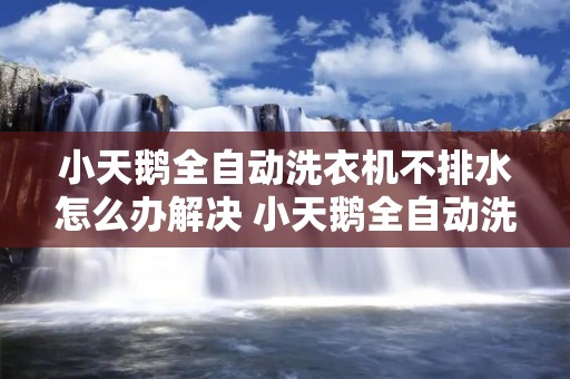 小天鹅全自动洗衣机不排水怎么办解决 小天鹅全自动洗衣机不排水怎么修理