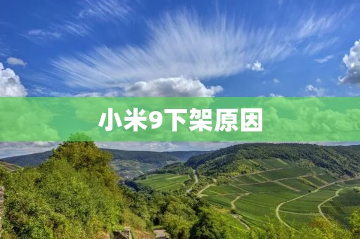 小米9下架原因:为何小米9突然消失在市场上?