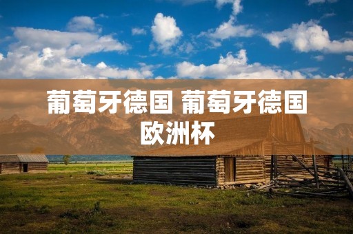 葡萄牙德国 葡萄牙德国欧洲杯