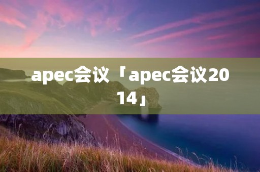 apec会议「apec会议2014」