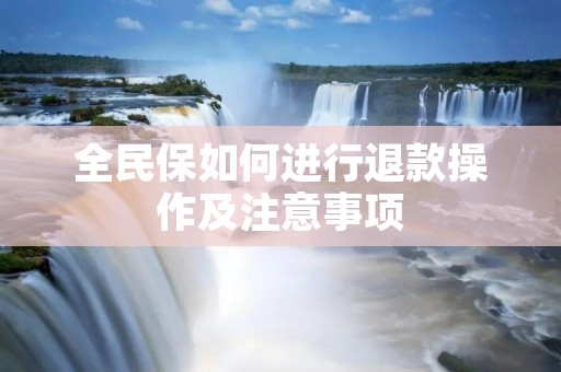 全民保如何进行退款操作及注意事项