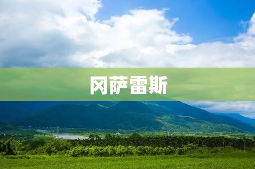 冈萨雷斯：西班牙足球传奇的辉煌征程