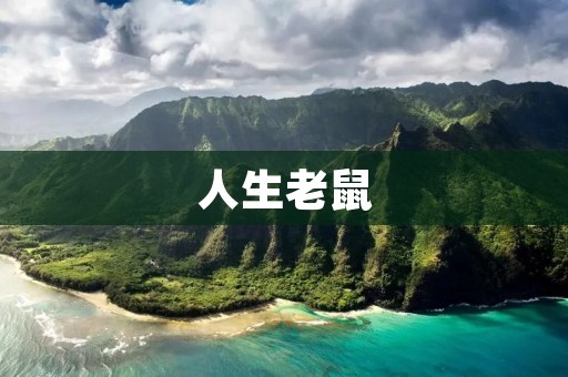 人生老鼠:追寻梦想的旅程
