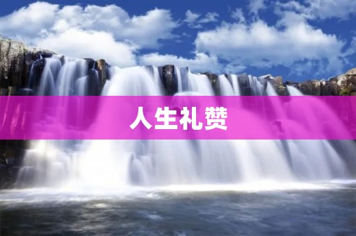 人生礼赞:感悟点滴,珍惜每一天