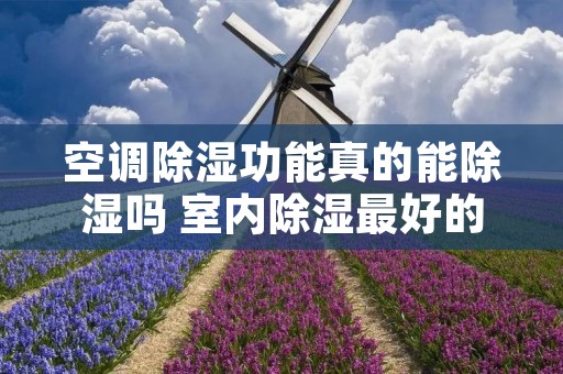 空调除湿功能真的能除湿吗 室内除湿最好的方法