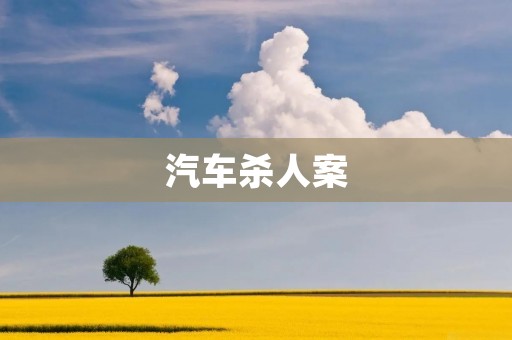 汽车杀人案：探寻罪恶的驾驶座