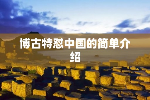博古特怼中国的简单介绍