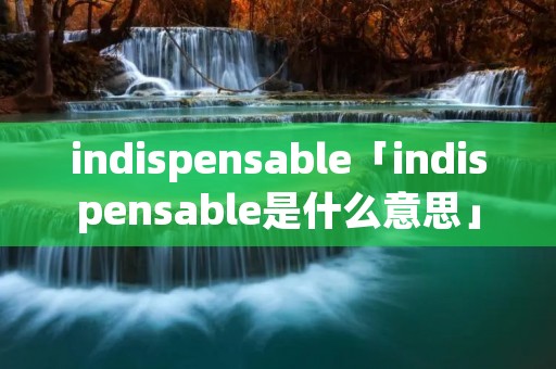 indispensable「indispensable是什么意思」