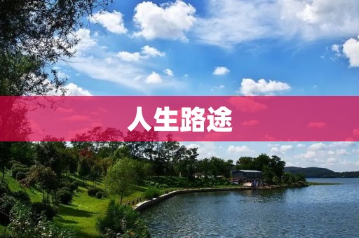 人生路途:追寻梦想的征程