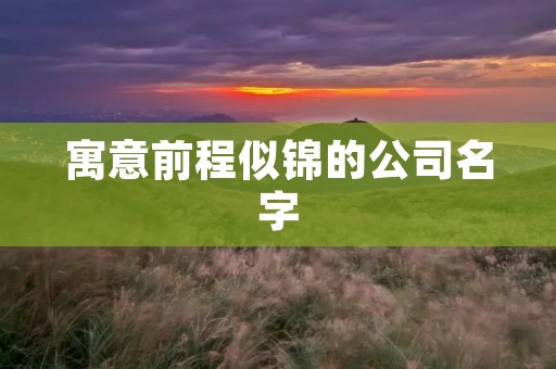 寓意前程似锦的公司名字