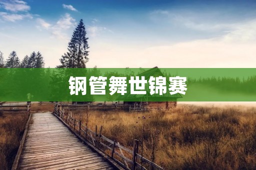钢管舞世锦赛：舞出独特的韵律之美
