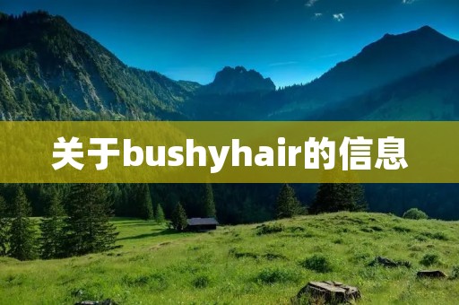 关于bushyhair的信息 关于bushyhair的信息