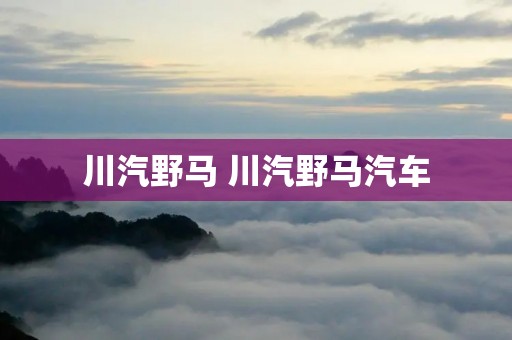 川汽野马 川汽野马汽车 川汽野马 川汽野马汽车