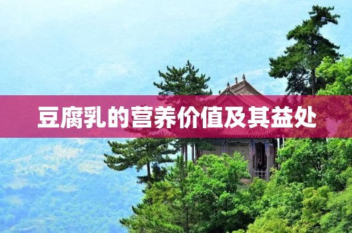 豆腐乳的营养价值及其益处