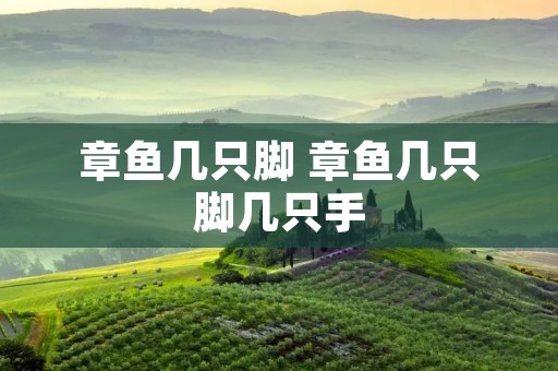 章鱼几只脚 章鱼几只脚几只手