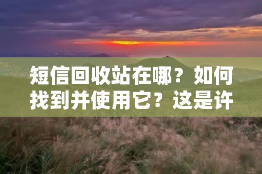 短信回收站在哪？如何找到并使用它？这是许多人在使用手机时经常遇到的问题。短信回收站是手机系统中一个非常有用的功能，可以帮助我们恢复误删的短信，保护重要的通信记录。本文将详细介绍短信回收站的位置和使用方法，帮助大家更好地利用这个功能。
