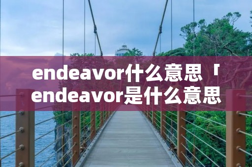 endeavor什么意思「endeavor是什么意思中文」