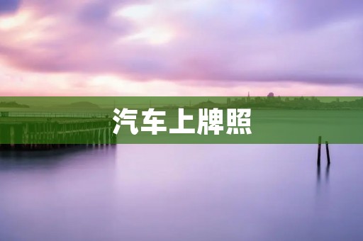 汽车上牌照：一步到位，轻松办理，让您的座驾合法上路