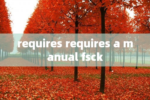 requires requires a manual fsck