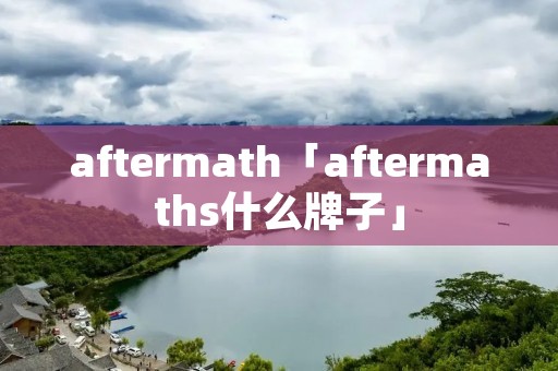 aftermath「aftermaths什么牌子」