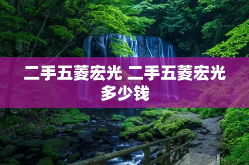 二手五菱宏光 二手五菱宏光多少钱