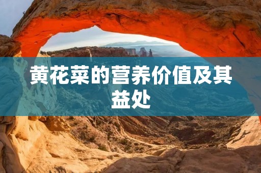 黄花菜的营养价值及其益处