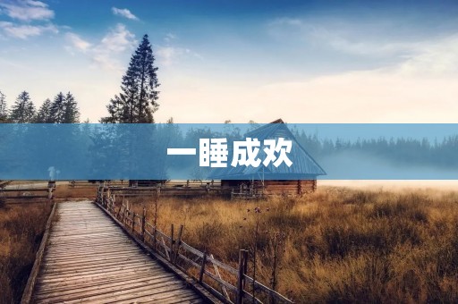 一睡成欢:探寻睡眠对健康的重要性