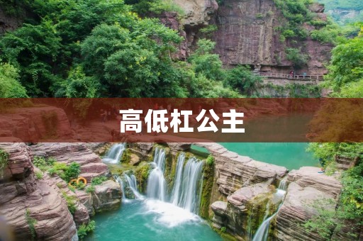 高低杠公主：展现魅力与力量的华丽艺术