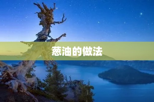 葱油的做法 葱油的做法