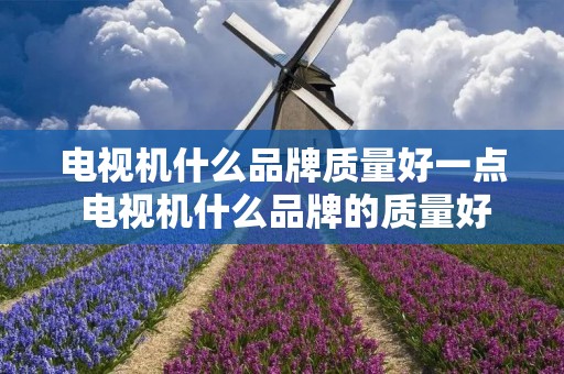 电视机什么品牌质量好一点 电视机什么品牌的质量好?