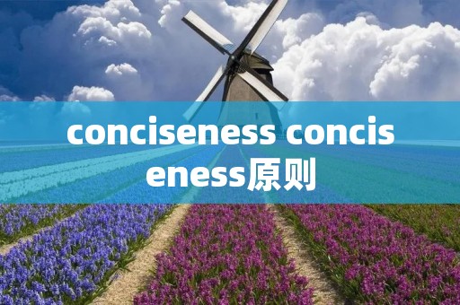 conciseness conciseness原则