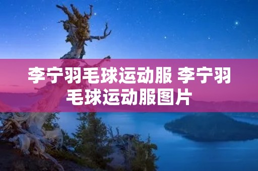 李宁羽毛球运动服 李宁羽毛球运动服图片