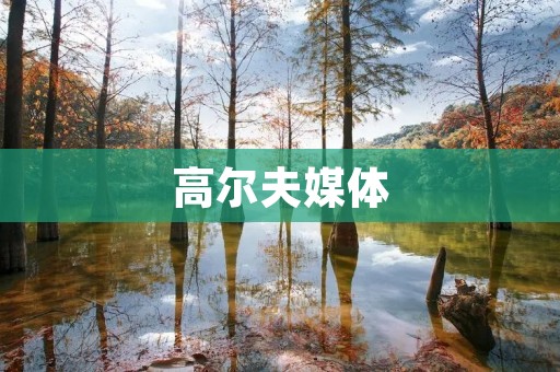 高尔夫媒体:推动高尔夫运动发展的重要力量 高尔夫媒体:推动高尔夫运动发展的重要力量