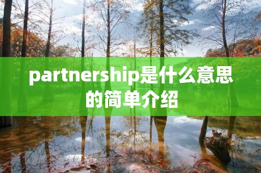 partnership是什么意思的简单介绍 partnership是什么意思的简单介绍