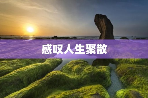 感叹人生聚散