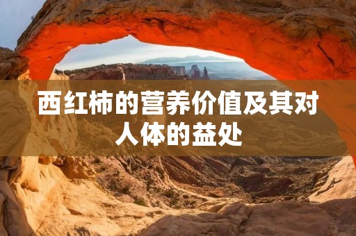 西红柿的营养价值及其对人体的益处