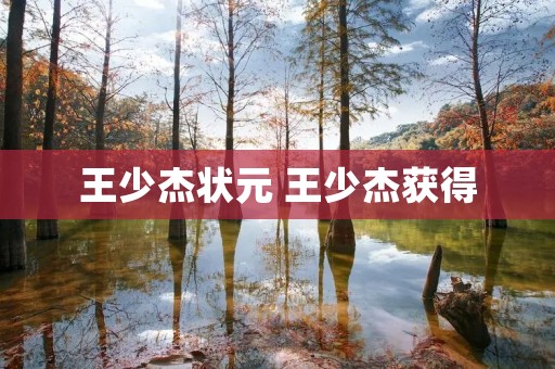 王少杰状元 王少杰获得