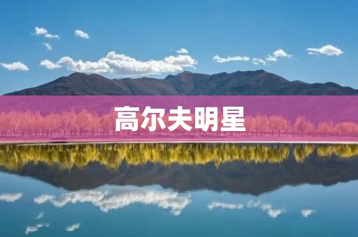 高尔夫明星：追逐荣耀的绿茵巨人