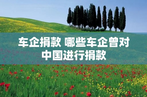 车企捐款 哪些车企曾对中国进行捐款