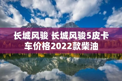 长城风骏 长城风骏5皮卡车价格2022款柴油