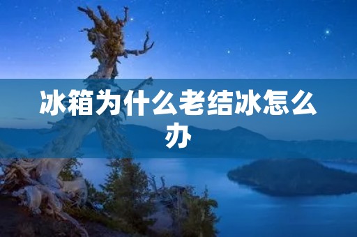 冰箱为什么老结冰怎么办